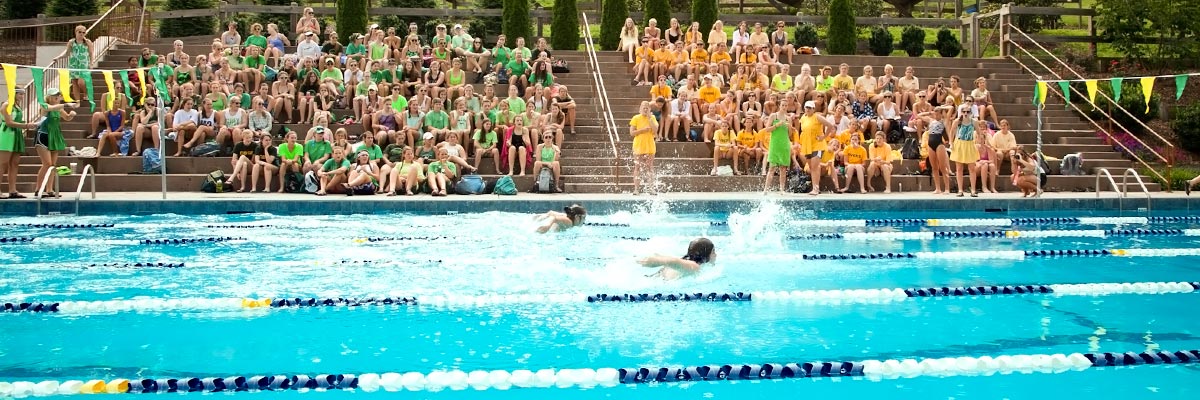 Welcome to Camp Greystone!
