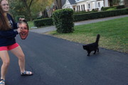 Scardey cat